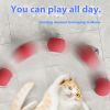 Picture of BNMQ Self Rolling Dog Ball, Interactive Rolling Dog Ball
